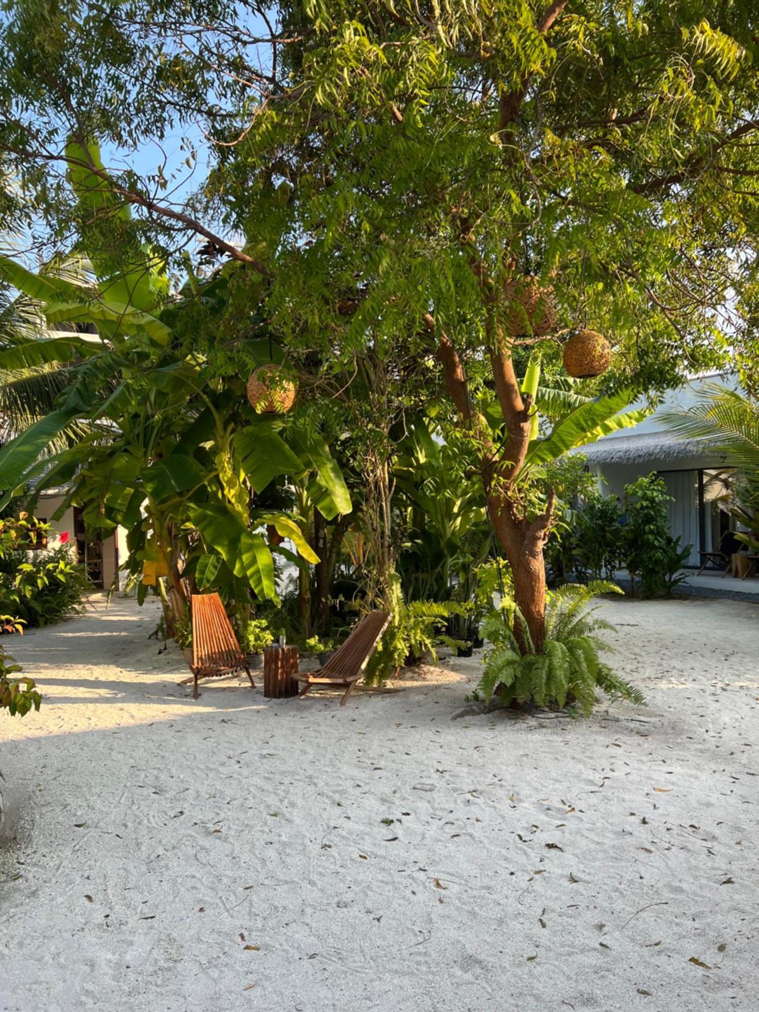Coco Villa Thoddoo Extérieur photo