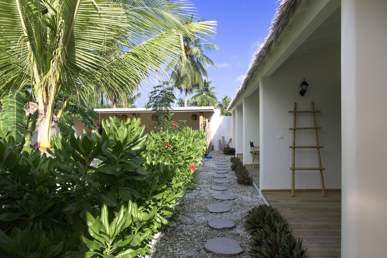 Coco Villa Thoddoo Extérieur photo